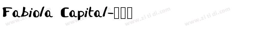 Fabiola Capital字体转换